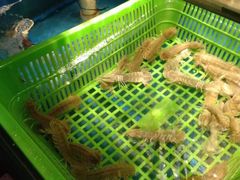 -吉友粥底火锅(方斜路店)