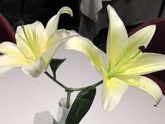 -苏淮景·苏闽融创菜·海鲜(原空港井河轩店)