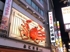 -蟹道乐(道顿堀本店)