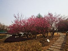 -白塘生态植物园