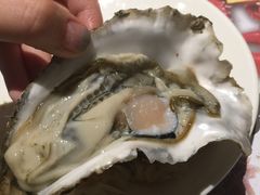 -壹号港湾