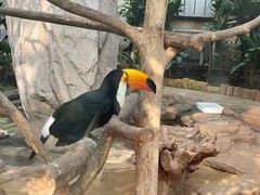 -大连森林动物园