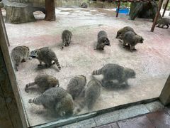 -杭州野生动物世界