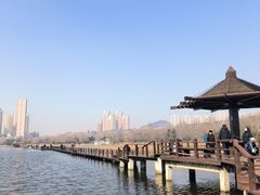 -前关湿地公园