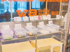 -水善汇旗舰店(金牛路店)