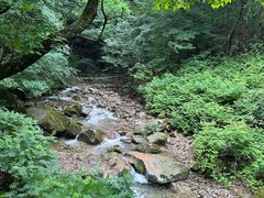 -本溪汤沟绿石谷森林公园