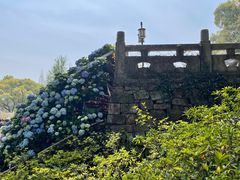 -苏州上方山国家森林公园