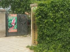 -大自然农场蔬菜草莓采摘园