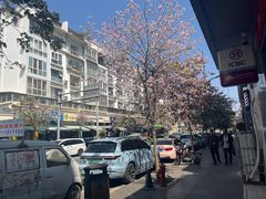 -城南综合水果批发市场(花园路店)