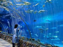 -华夏文旅海洋公园