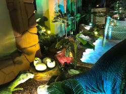 -恐龙探索乐园(磁器口店)