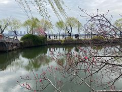 -无锡蠡湖国家湿地公园-蠡园