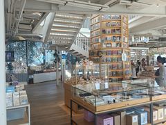 -猫的天空之城概念书店(北戴河蔚蓝海岸店)