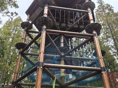 -黄海国家森林公园