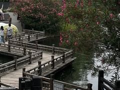 -水绘园