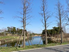 -广富林郊野公园
