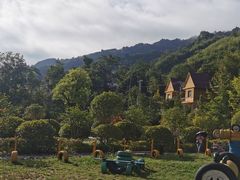 -塔云山