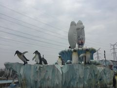 -芜湖新华联大白鲸海洋公园