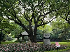-上海兴国宾馆香樟园西餐厅
