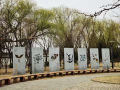 -太阳宫公园