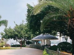 -白鹭洲公园