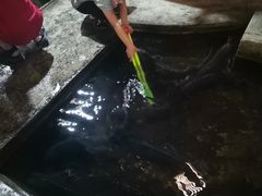 -源泉冷水鱼庄(小鱼洞店)