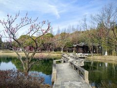 -尚湖风景区