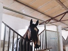 -月河湾马术俱乐部(朝阳店)