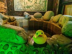 -北京益泉花园酒店