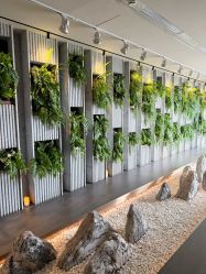 -VELEE·SPA高定疗愈会所