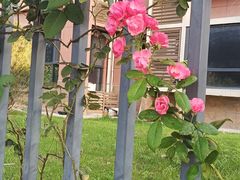 -辣动时代自助小火锅(大庆路店)