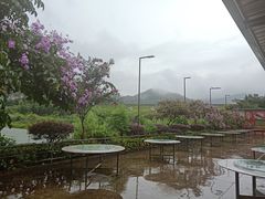 -大王岭农庄