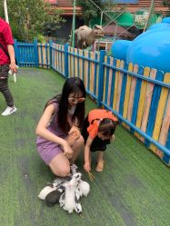 点击看大图 -萌宠亲子动物乐园(槐房万达店)