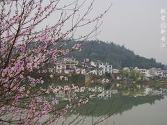 -新安江山水画廊风景区