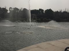 -上海玫瑰园度假酒店