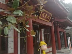 -华清宫-观风楼