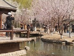 -三里河公园