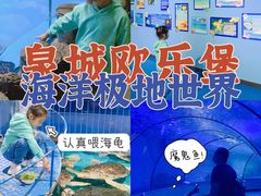 -泉城欧乐堡海洋极地世界