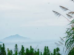 -东极岛景区