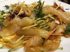 东北大拉皮-东北农家小院(定西路店)