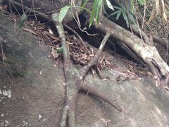 iphone_upload_pic-三亚亚龙湾人间天堂鸟巢度假村