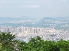 -风云岭森林公园