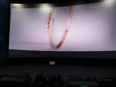 -SFC上影影城(杭州下沙IMAX店)