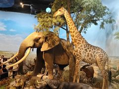 -陕西自然博物馆