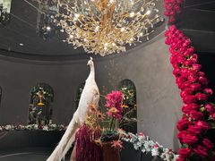 -滇野云南野生菌餐厅(陕西南路店)