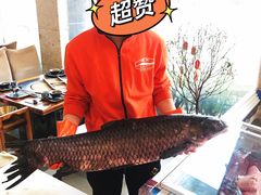 -老刘生态大鱼坊铁锅炖鱼(赛马场店)