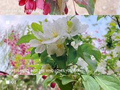 -海棠花溪(元大都城垣遗址公园)