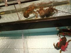 -尚海豆捞(乐虹坊店)