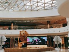 -棕榈MALL