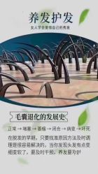 -诗碧曼养发
